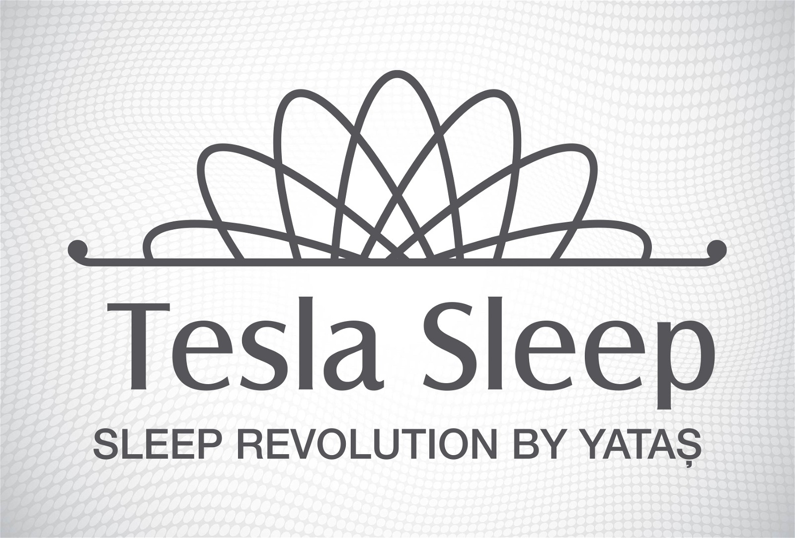  Tesla Sleep